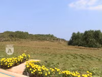 [ẢNH] Phim trường 