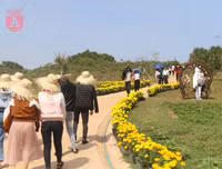 [ẢNH] Phim trường 