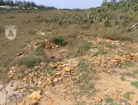 [ẢNH] Phim trường 