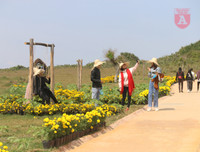 [ẢNH] Phim trường 