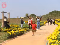 [ẢNH] Phim trường 