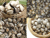 [ẢNH] Những lưu ý khi chế biến hải sản tránh gây ngộ độc