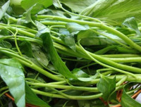 [ẢNH] Những lưu ý khi chế biến hải sản tránh gây ngộ độc