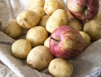 [ẢNH] Những thực phẩm không nên để tủ lạnh vì dễ biến chất