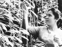 [ẢNH] Bạn có dễ dàng bị 