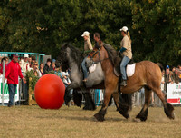 Ngoài chọi trâu, trên thế giới còn những môn thi đấu kỳ dị nào dành cho động vật?