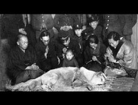 [ẢNH] Điểm danh những chú chó 