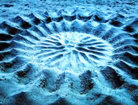 [ẢNH] Khám phá những 