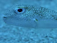 [ẢNH] Khám phá những 