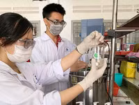 [ẢNH] Hàng loạt các trường đại học, cao đẳng 