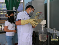 [ẢNH] Hàng loạt các trường đại học, cao đẳng 