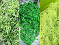 [ẢNH] Những món bánh dân dã thơm ngon nức tiếng của ẩm thực miền Bắc