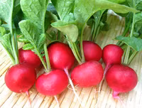 [ẢNH] Những kiểu ăn rau tưởng ngon bổ nhưng lại độc hại vô cùng