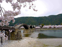 [ẢNH] Chiêm ngưỡng những cây cầu độc đáo bậc nhất thế giới