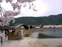 [ẢNH] Chiêm ngưỡng những cây cầu độc đáo bậc nhất thế giới