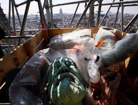 [ẢNH] Cận cảnh 16 bức tượng thánh trăm tuổi may mắn 