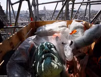 [ẢNH] Cận cảnh 16 bức tượng thánh trăm tuổi may mắn 