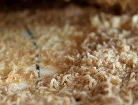 [ẢNH] Rợn người với 9 món ăn 