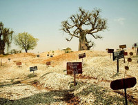 Đặt chân lên những hòn đảo kỳ dị nhất hành tinh