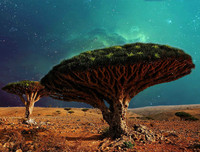 Đặt chân lên những hòn đảo kỳ dị nhất hành tinh