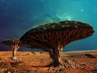 Đặt chân lên những hòn đảo kỳ dị nhất hành tinh