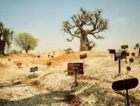 Đặt chân lên những hòn đảo kỳ dị nhất hành tinh