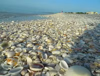 Đặt chân lên những hòn đảo kỳ dị nhất hành tinh