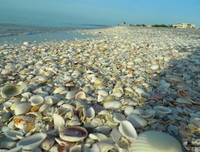 Đặt chân lên những hòn đảo kỳ dị nhất hành tinh