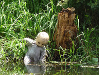 Đặt chân lên những hòn đảo kỳ dị nhất hành tinh