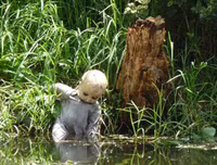 Đặt chân lên những hòn đảo kỳ dị nhất hành tinh