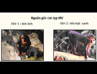 [ẢNH] Những loài động vật là ổ chứa tự nhiên của nhiều virus 