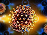 [ẢNH] Những loài động vật là ổ chứa tự nhiên của nhiều virus 