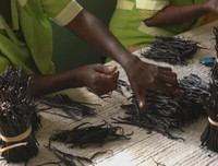 [ẢNH] Top 6 loại gia vị 