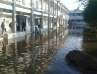 Đảo lộn cuộc sống vì triều cường: Người dân vẫn lạc quan… tạo dáng