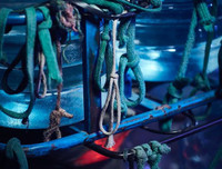 ‘Mưu sinh trên yên xe máy’, bộ ảnh đẹp của nhiếp ảnh gia Anh