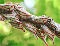 [ẢNH] Chiêm ngưỡng 