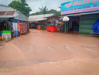 [ẢNH] Phú Quốc ngập lịch sử: Người dân chật vật di tản, giao thông chia cắt