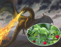 [ẢNH] Top 10 loại ớt siêu cay không phải ai cũng dám thử