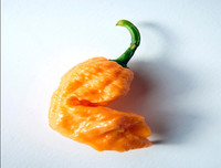 [ẢNH] Top 10 loại ớt siêu cay không phải ai cũng dám thử