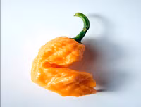 [ẢNH] Top 10 loại ớt siêu cay không phải ai cũng dám thử