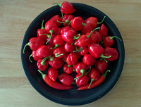 [ẢNH] Top 10 loại ớt siêu cay không phải ai cũng dám thử