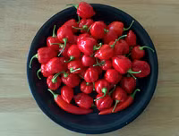 [ẢNH] Top 10 loại ớt siêu cay không phải ai cũng dám thử