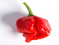 [ẢNH] Top 10 loại ớt siêu cay không phải ai cũng dám thử