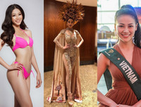 Những nhan sắc Việt từng 