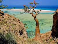 [ẢNH] Những điều thú vị ít người biết về hòn đảo 