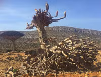 [ẢNH] Những điều thú vị ít người biết về hòn đảo 