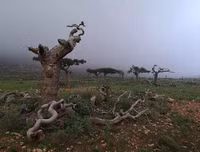 [ẢNH] Những điều thú vị ít người biết về hòn đảo 