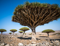 [ẢNH] Những điều thú vị ít người biết về hòn đảo 