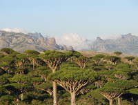 [ẢNH] Những điều thú vị ít người biết về hòn đảo 