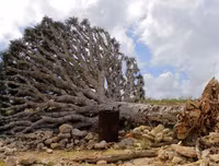 [ẢNH] Những điều thú vị ít người biết về hòn đảo 